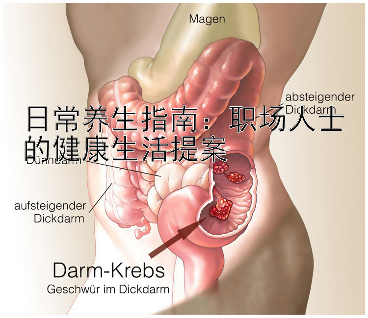 日常养生指南：职场人士的健康生活提案