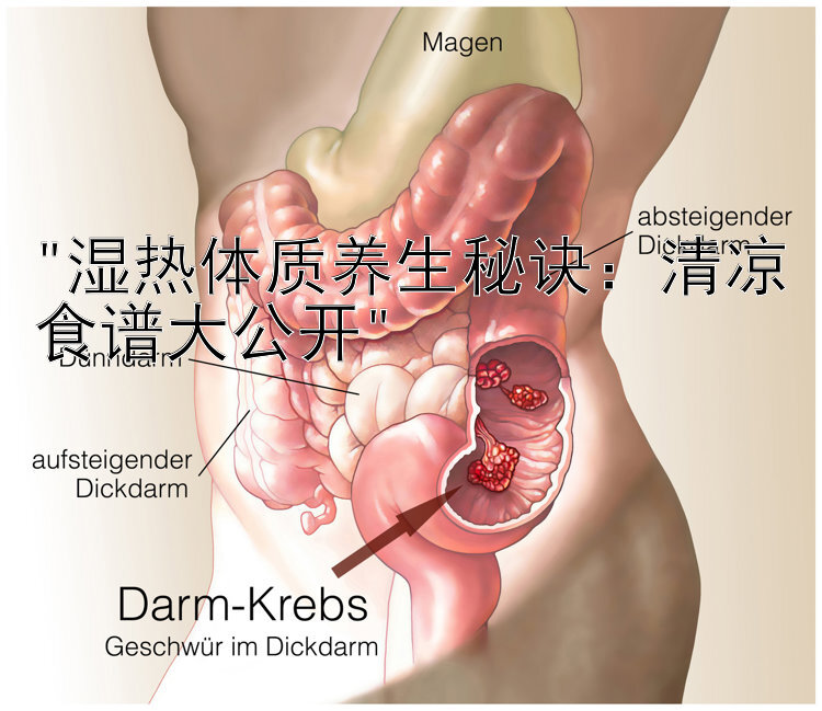 湿热体质养生秘诀：清凉食谱大公开