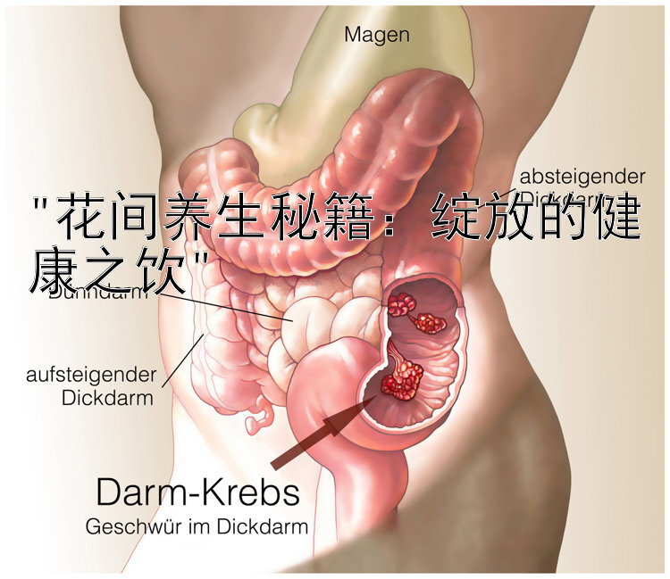 花间养生秘籍：绽放的健康之饮