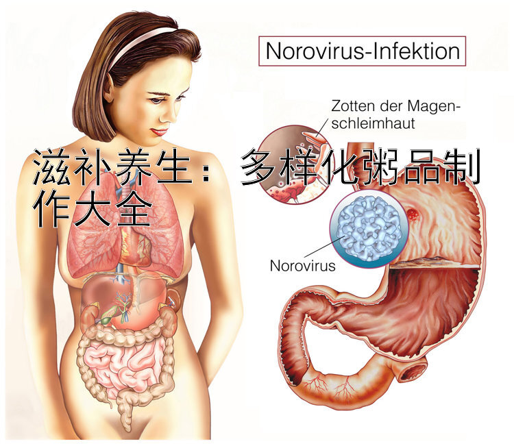 滋补养生：多样化粥品制作大全