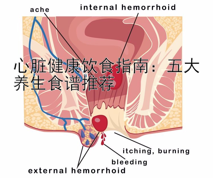 心脏健康饮食指南：五大养生食谱推荐