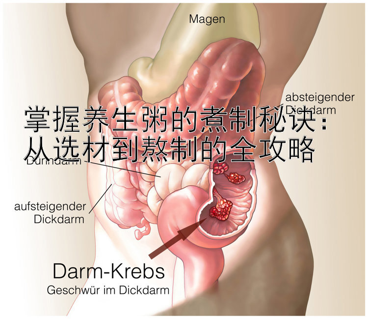 掌握养生粥的煮制秘诀：从选材到熬制的全攻略