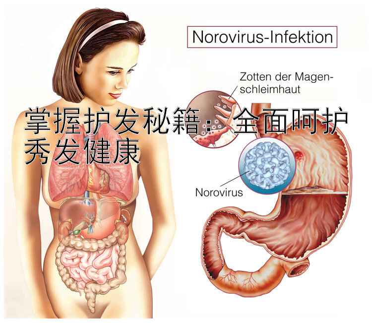 掌握护发秘籍：全面呵护秀发健康