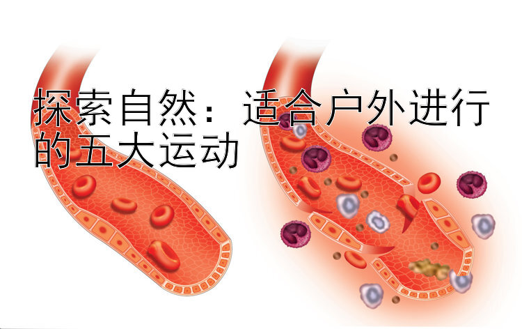 探索自然：适合户外进行的五大运动