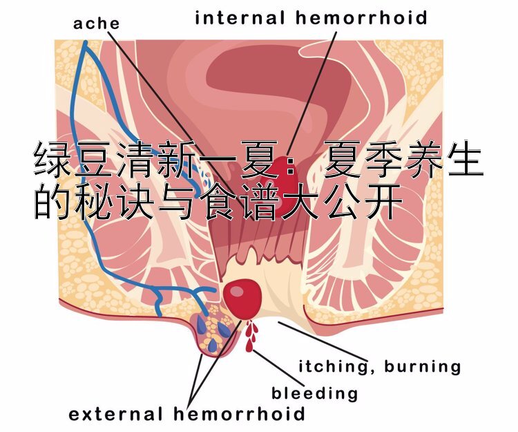 绿豆清新一夏：夏季养生的秘诀与食谱大公开