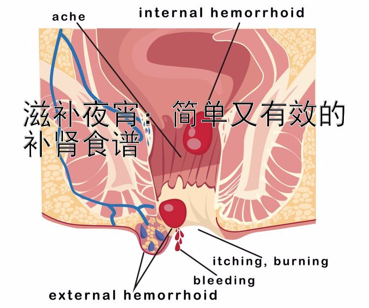 滋补夜宵：简单又有效的补肾食谱