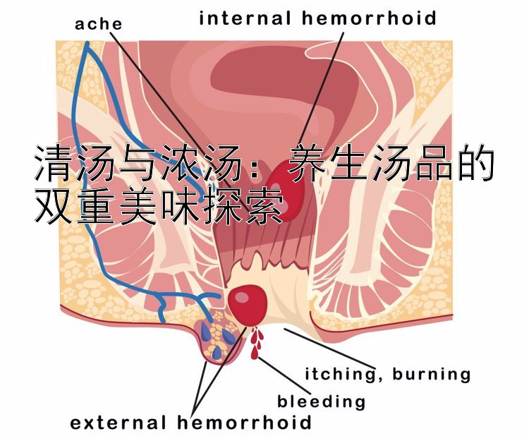 清汤与浓汤：养生汤品的双重美味探索