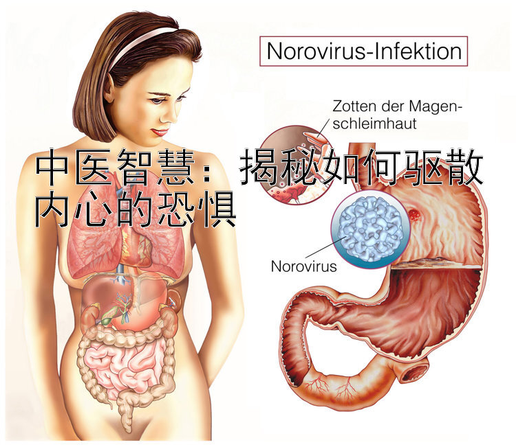 中医智慧：揭秘如何驱散内心的恐惧