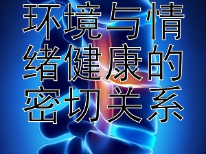 温馨家庭环境与情绪健康的密切关系