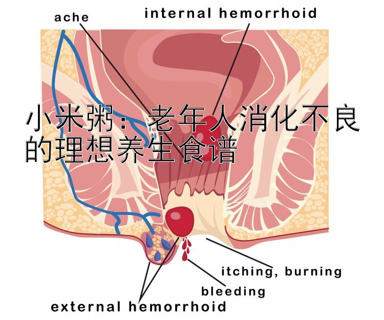 小米粥：老年人消化不良的理想养生食谱