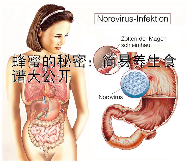 蜂蜜的秘密：简易养生食谱大公开