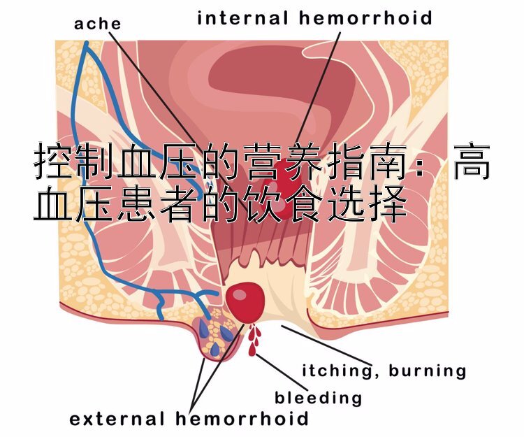 控制血压的营养指南：高血压患者的饮食选择