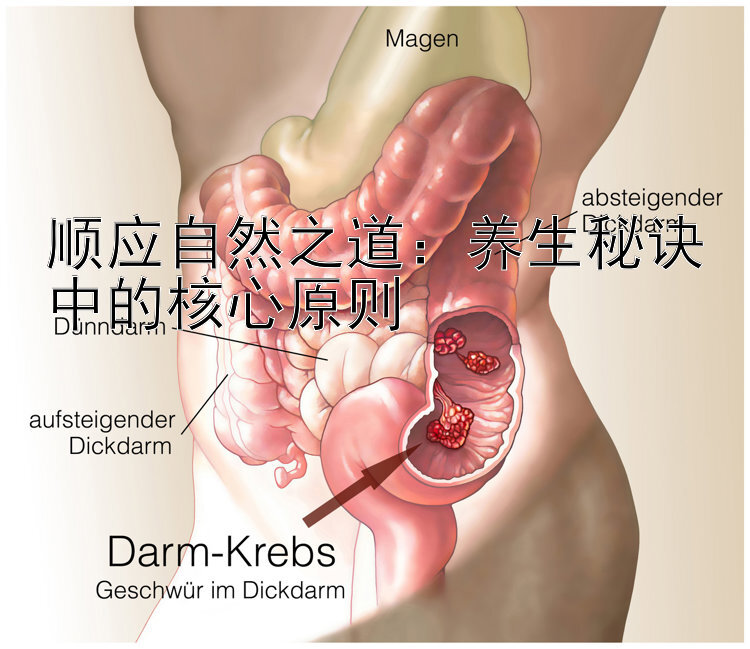 顺应自然之道：养生秘诀中的核心原则