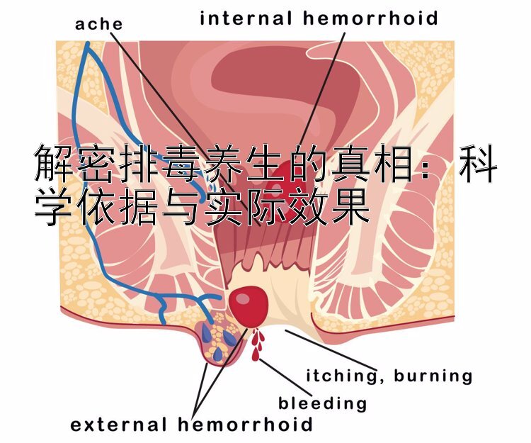 解密排毒养生的真相：科学依据与实际效果