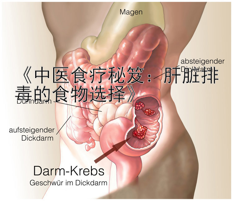 《中医食疗秘笈：肝脏排毒的食物选择》