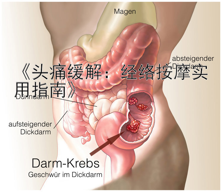 《头痛缓解：经络按摩实用指南》