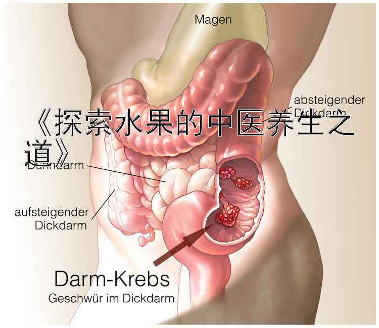 《探索水果的中医养生之道》