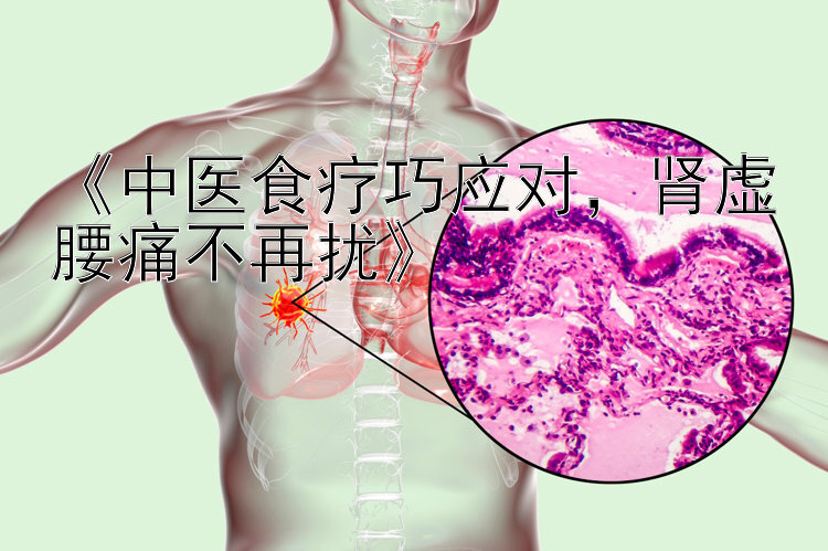 《中医食疗巧应对，肾虚腰痛不再扰》