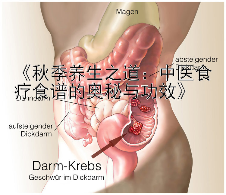 《秋季养生之道：中医食疗食谱的奥秘与功效》