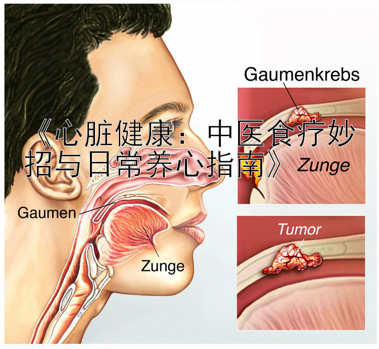 《心脏健康：中医食疗妙招与日常养心指南》