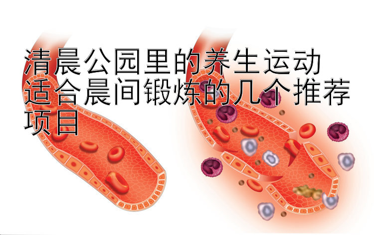 清晨公园里的养生运动  
适合晨间锻炼的几个推荐项目