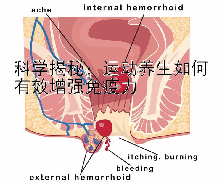 科学揭秘：运动养生如何有效增强免疫力