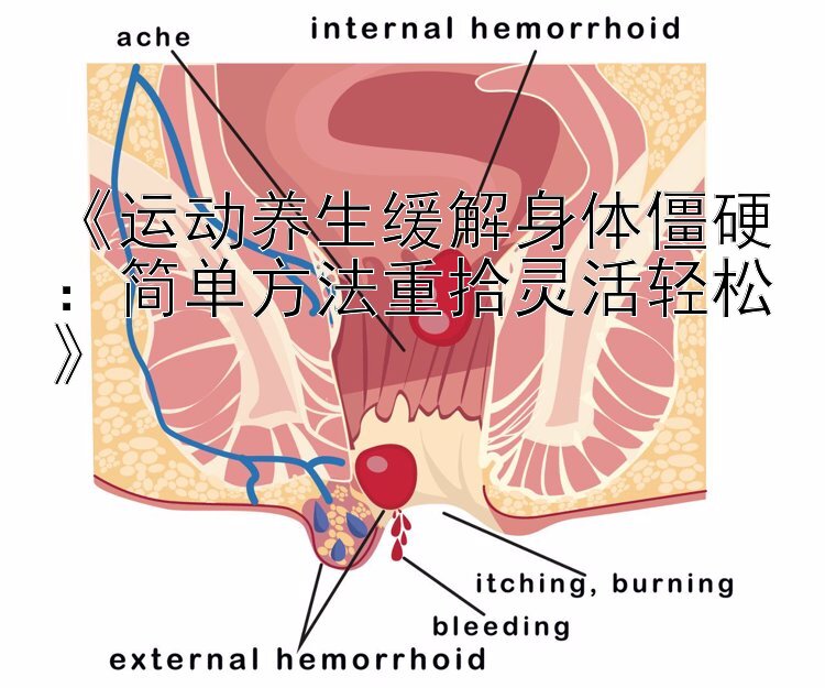 《运动养生缓解身体僵硬：简单方法重拾灵活轻松》