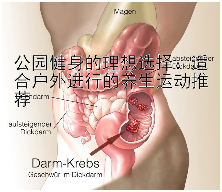 公园健身的理想选择：适合户外进行的养生运动推荐