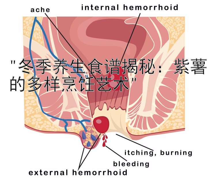 冬季养生食谱揭秘：紫薯的多样烹饪艺术