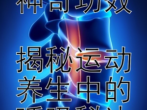 探索中医吐纳法的神奇功效  
揭秘运动养生中的呼吸秘诀