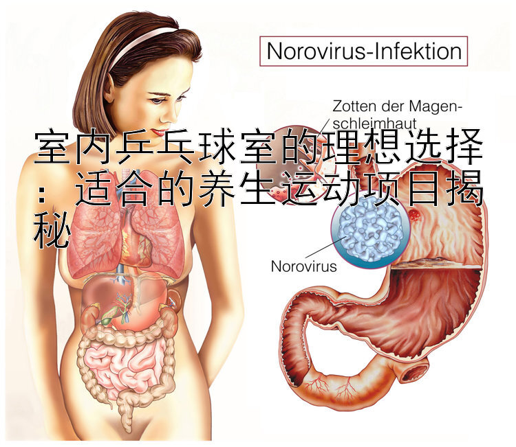 室内乒乓球室的理想选择：适合的养生运动项目揭秘